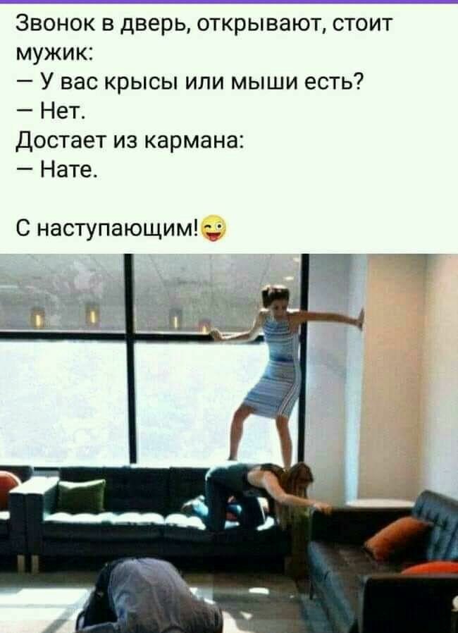 Звонок в дверь открывают стоит мужик У вас крысы или мыши есть Нет достает из кармана Нате С наступающим