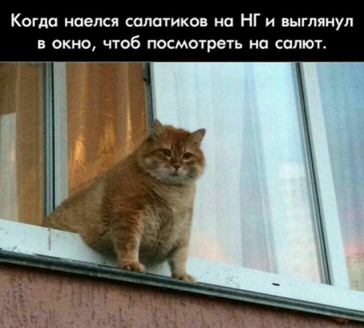 Когда наелся солатиков но НГ и выглянул в окно чтоб посмотреть на салют