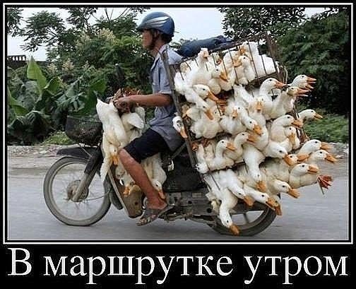 В маршрутке туом