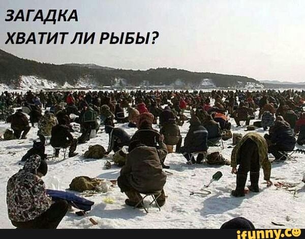 ЗАГАДКА хвд титли РЫБЫ
