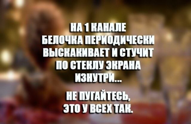 им идиш Бинди пітідичюии высилиишт и шчит по шип зимин візит и тиши это ввп тии 4