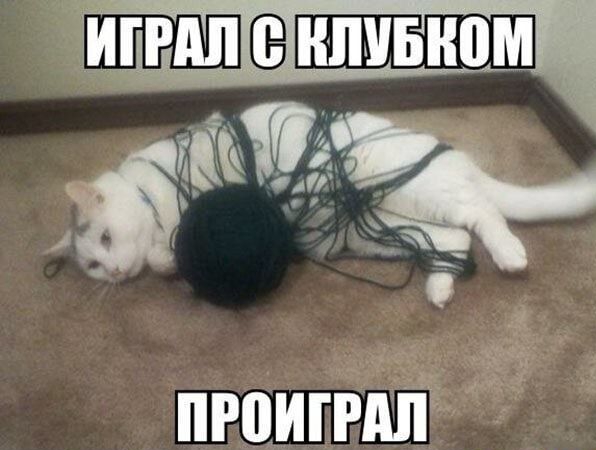ПРПИГРАЛ