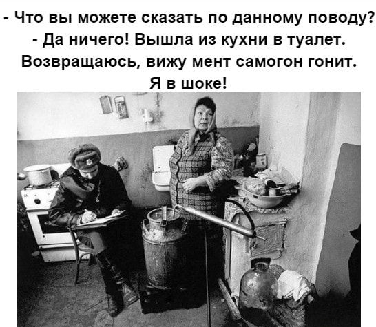 Что вы можете сказать по данному поводу да ничего Вышла из кухни в туалет Возвращаюсь вижу мент самогон гонит Я в шоке