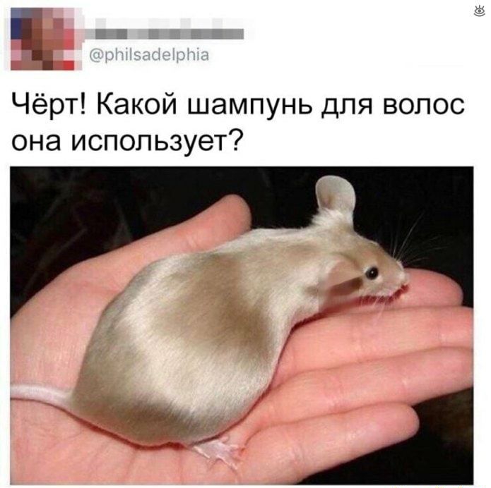 Чёрт Какой шампунь для волос она использует
