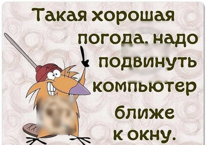 Такая хорошая погода надо подвинуть компьютер ближе к окну