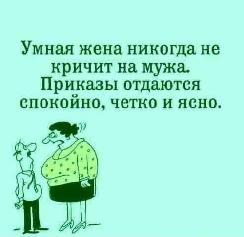 Умная жена никогда не кричит на мужа Приказы отдаются спокойно четко и ясно