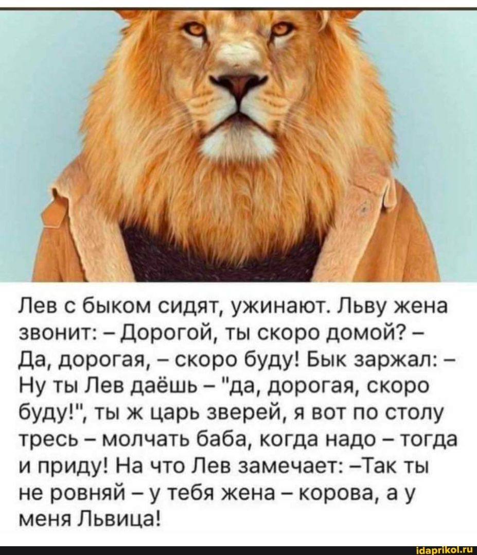 ш _Г Ш Лев с быком сидят ужинают Льву жена звонит Дорогой ты скоро домой Да дорогая скоро буду Бык заржал Ну ты Лев даёшь да дорогая скоро буду ты ж царь зверей я вот по столу тресь молчать баба когда надо тогда и приду На что Лев замечает Так ты не ровняй у тебя жена корова а у меня Львица