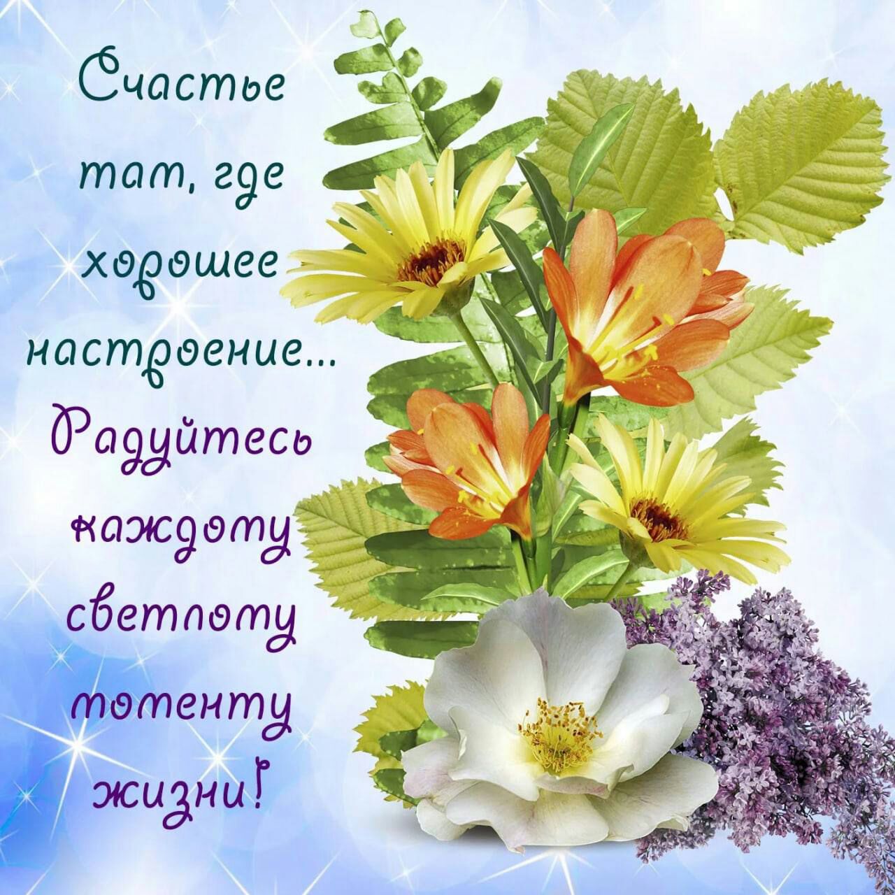 хееошее иастевение Ражйтесь 1