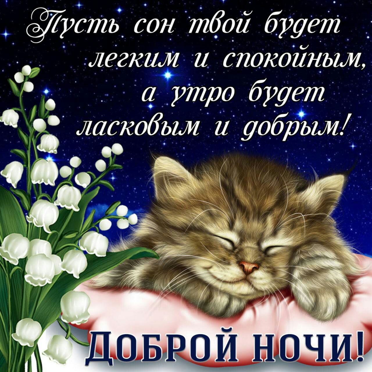 устгі сон тёщи будет _ легкиді и спокойным а утро будет Да кобым добрым