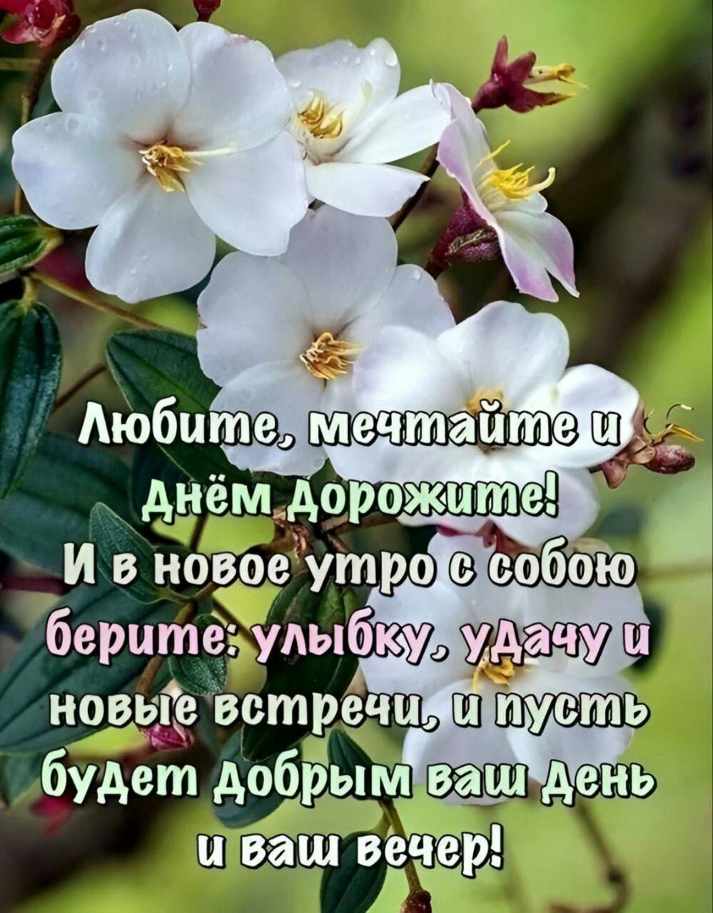 мечтаите днём дерожцтеЕЗю И в уіпро бобою беритёудыбку новые встзечи ш _ удет добрым