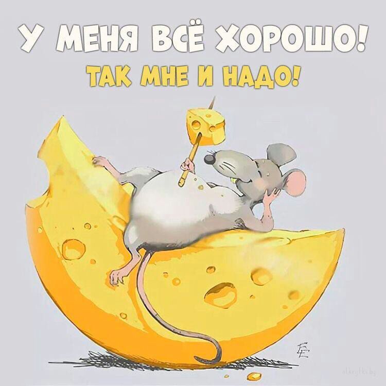 37 ШШ