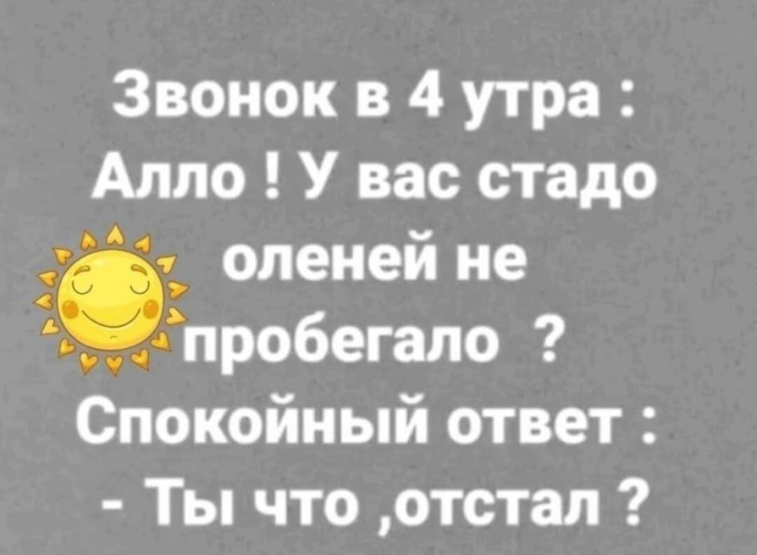 Звонок в 4 утра Алло У вас стадо _ оленей не чпробегало Спокойный ответ Ты что отстал