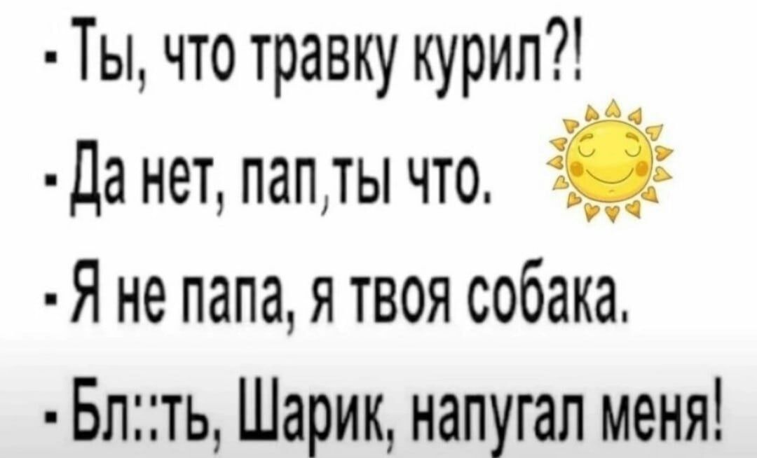 Ты что травку курил Да нет папты что Я не папа я твоя собака Блть Шарик напугал меня