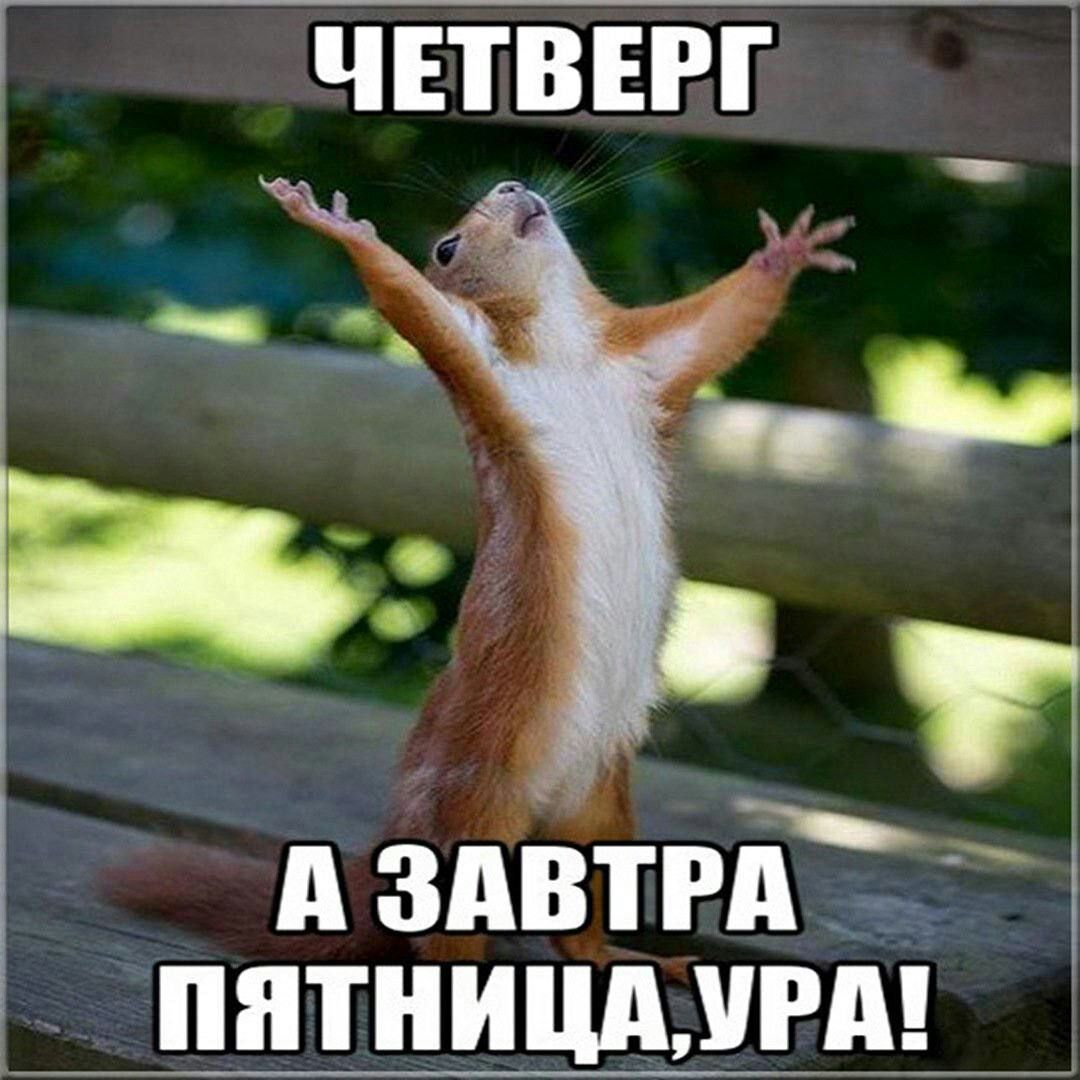 же ЧЕТВЕРГ П А зпітчЁ _пптницмвд