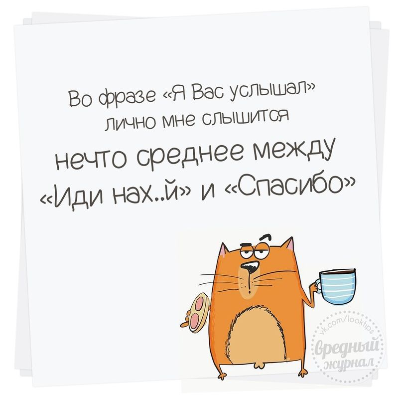 Во фразе Я Вас услышал лично мне слышится нечто среднее между Иди нахй и Спасибо