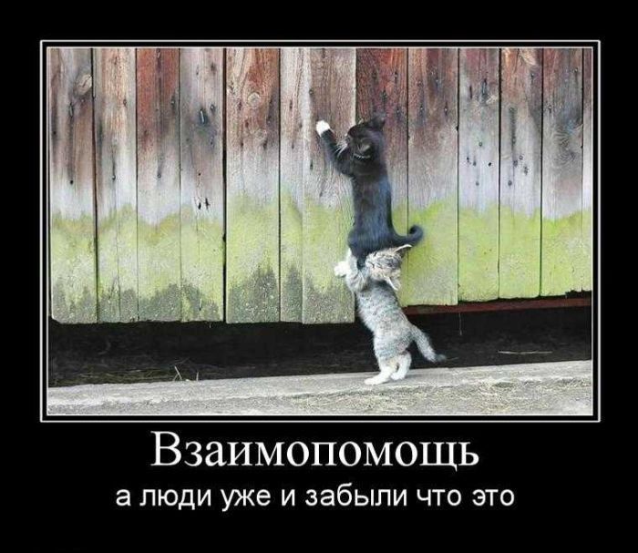 Взаимопомощь а ЛЮДИ уже И ЗЭбЫПИ ЧТО ЭТО