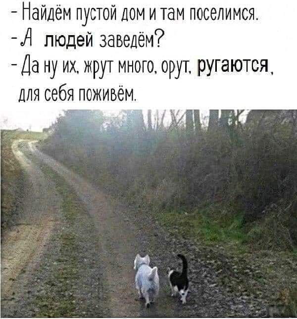 Найдём пустой дом и там поселимся А людей заведём Да ну их жрут много орут ругаются для себя поживём