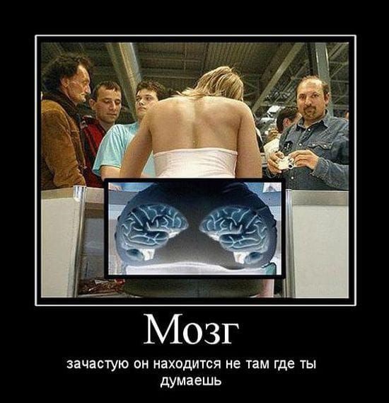 Мозг зачастую Он находится не там где ТЫ думаешь