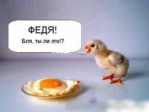 п ФЕДЯ Бпятыпи это