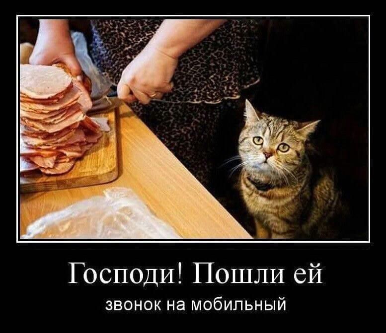 Господи Пошли ей ЗВОНОК на мобильный