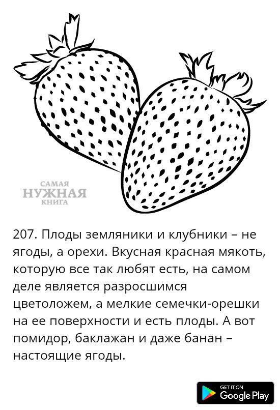 207 Плоды земляники и клубники не ягоды а орехи Вкусная красная мякоть которую все так любят есть на самом деле является разросшимся цветоложем а мелкие семечки орешки на ее поверхности и есть плоды А вот помидор баклажан и даже банан настоящие ягоды и тт Бооаіе Ріау