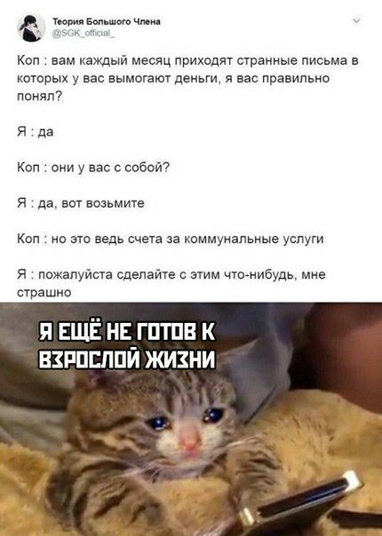 тм вшш ч а к вам каждый месяц приходят сграиные письма котпрых у вас вымогают деньги я вас правильно понял Я да к они у вас с собой я да вот возьмите Коп эш ведь за киммунапьные услуги я пожалуйста сделайе сзтим чтогнибудь мне страшно я ЕЩЁ нь гптпв к взппсппй жизни _ ОУ Ё