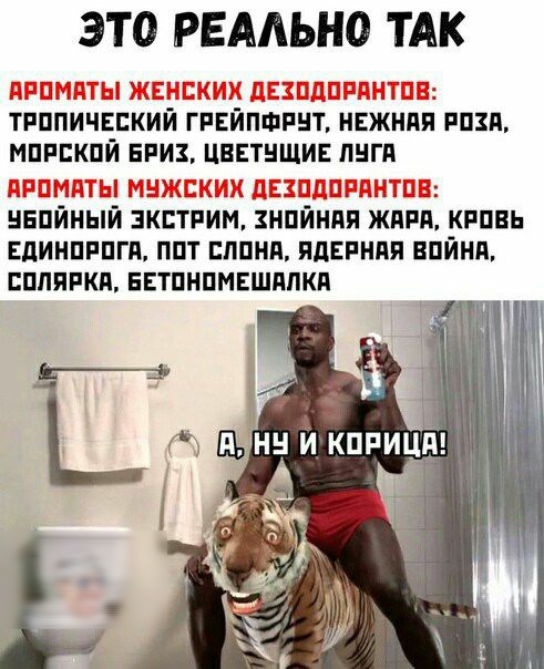 іпппйчвпкйй гпёйпфйнт днейнпи ищи мппскпй нии цввтнщив лиги Цёпйньпй зкЬтпий Ёнййнпй Жди уппвь ЕдИНПРПГП ппт пппнн пдвпнпя впини шляпки нвтпнпмвшдпкп