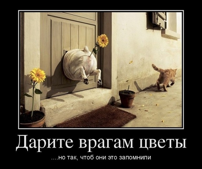 Дарите врагам цветы но так чтоб они это запомнили