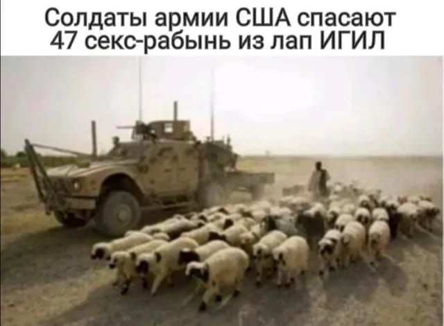Солдаты армии США спасают 47 секерабынь из лап ИГИЛ