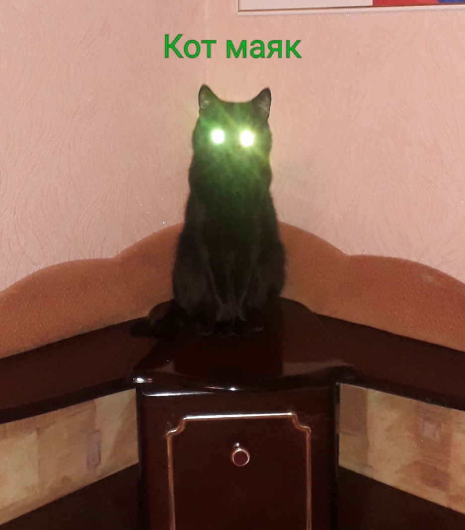 Кот маяк