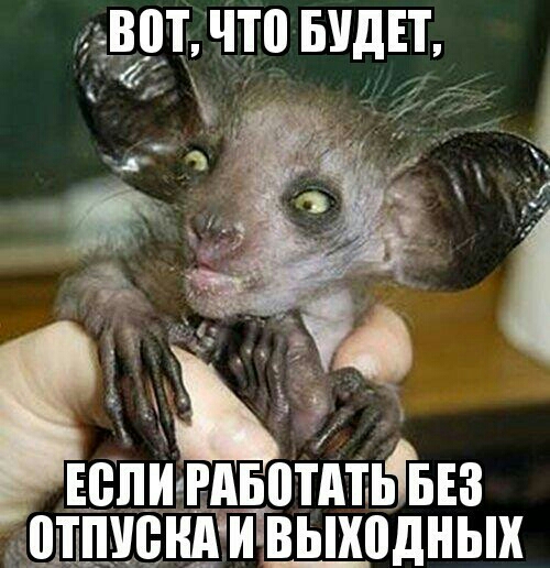 _ВВТ ЧТ0 БУДЕТ ЕВТТИ _ШТЕ Ш РАБПТАТЬТБЕЗ ТВ_Ь_Х0ДНЫХ