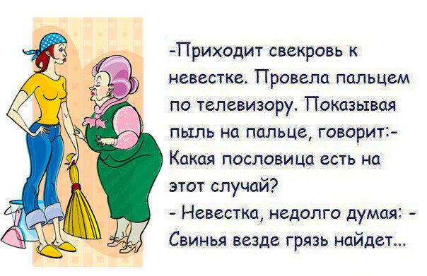 Приодит свекровь невестке Провела пальцем по телевизору Показывая пыль на пальце говорит Какая пословица есть на этот случай Невестка недолго думая СВИНЬЯ везде грязь НОЙД6Т
