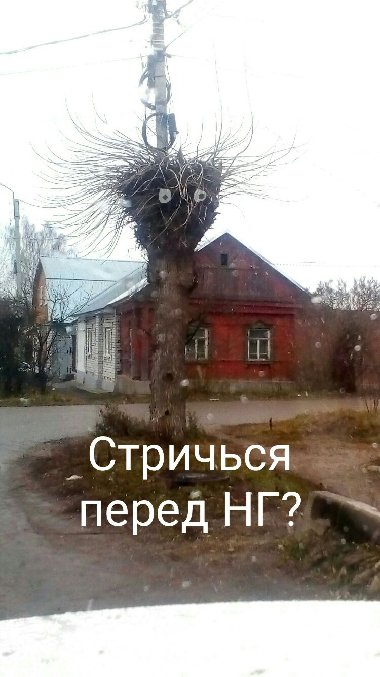 СтриЧься перед НГ