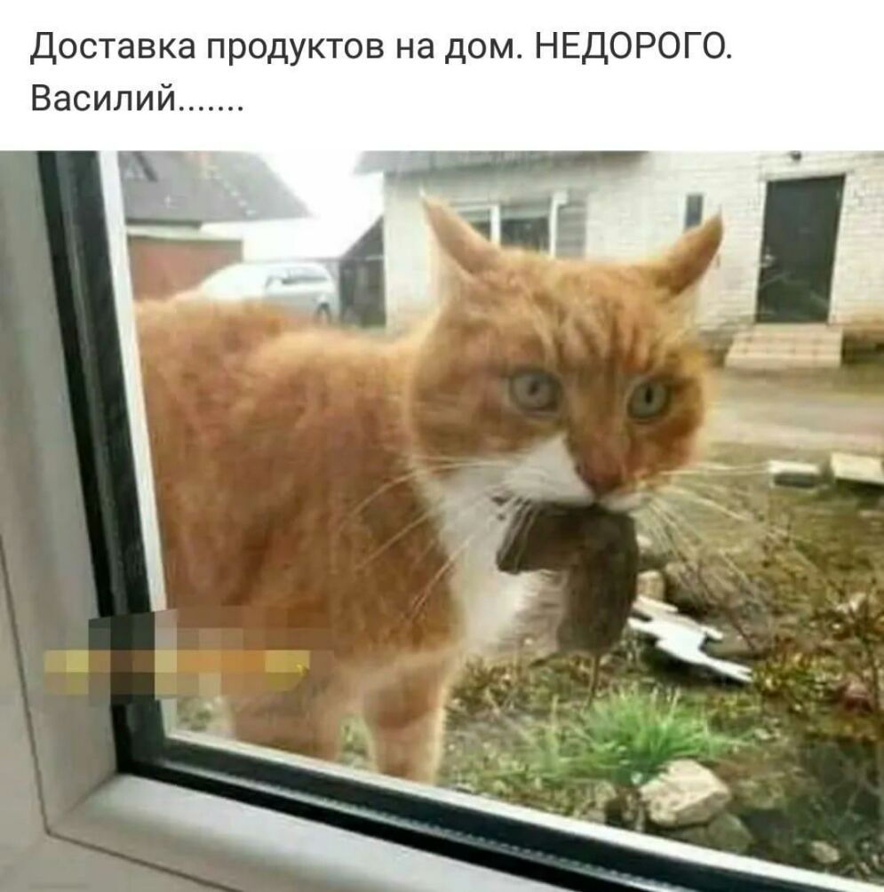 Доставка продуктов на дом НЕДОРОГО Василий