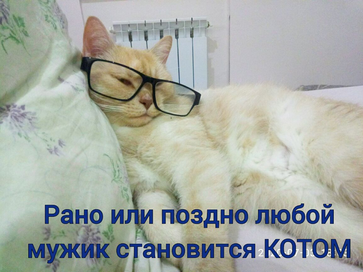 Рано ти гіЪздно любом ЗРКЁЯЗЧЗВИТФЯ Кбтоэмщ