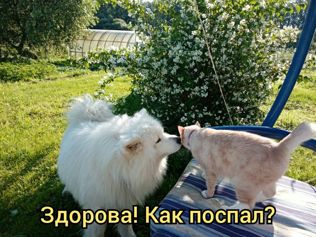 ЗДОРОВЭЗ Какпоспат __