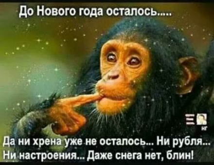 до Нового года остыть