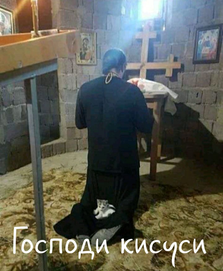 Йоп оди кищси