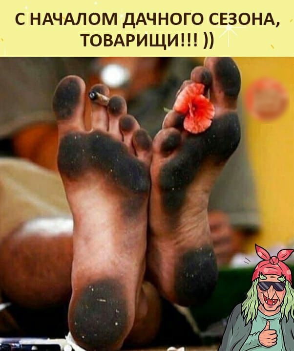 С НАЧАЛОМ ДАЧНОГО СЕЗОНА ТОВАРИЩИ _