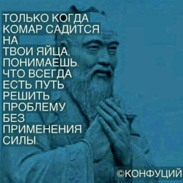 ТОЛЬКО КОГДА КОМАРСАДИТСЯ НА ТВОИЁЩЛЦА ПОНИМАЕШЬ ЧТО ВСЕГДА ЕСТЬПУТЬ РЕШИТЬ ПРОБЛЕМУ БЕЗ ПРИМЕНЕНИЯ СИЛЬ Конфуций