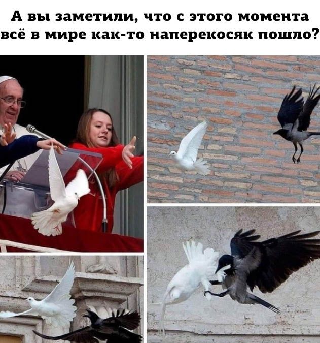 А ВЪ заметили ЧТО С ЭТОГО момента всё в МИРЕ как то наперекосяк ПОЩПО
