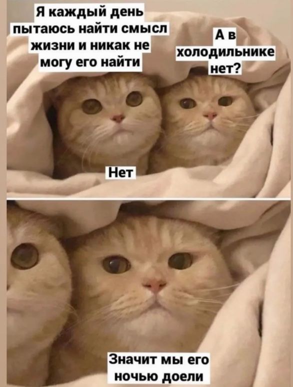 Я каждый день пытаюсь найти смысл А Б жизни и никак не ы могу его найти холодильнике Значит мы его ночью доели