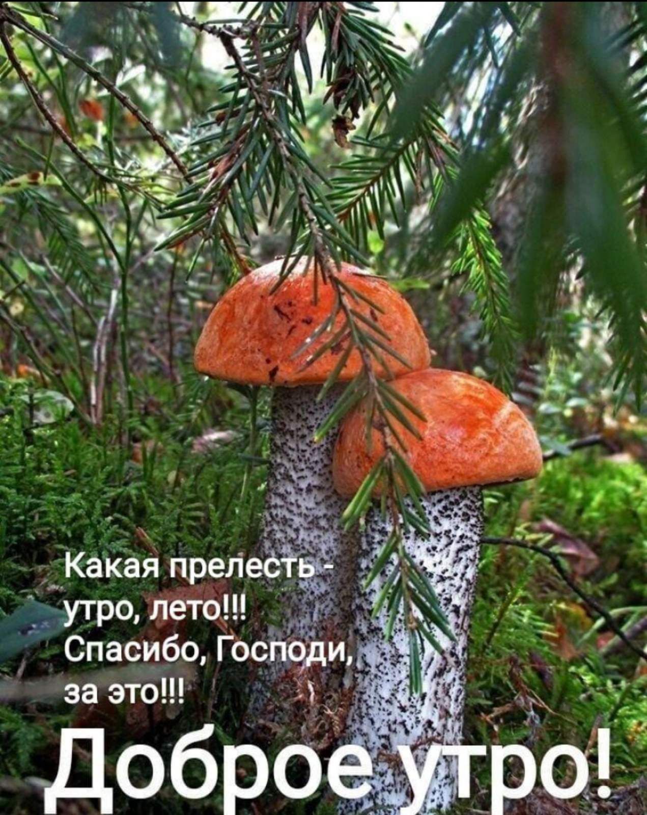 нщд м Г Спасибо утро не Её