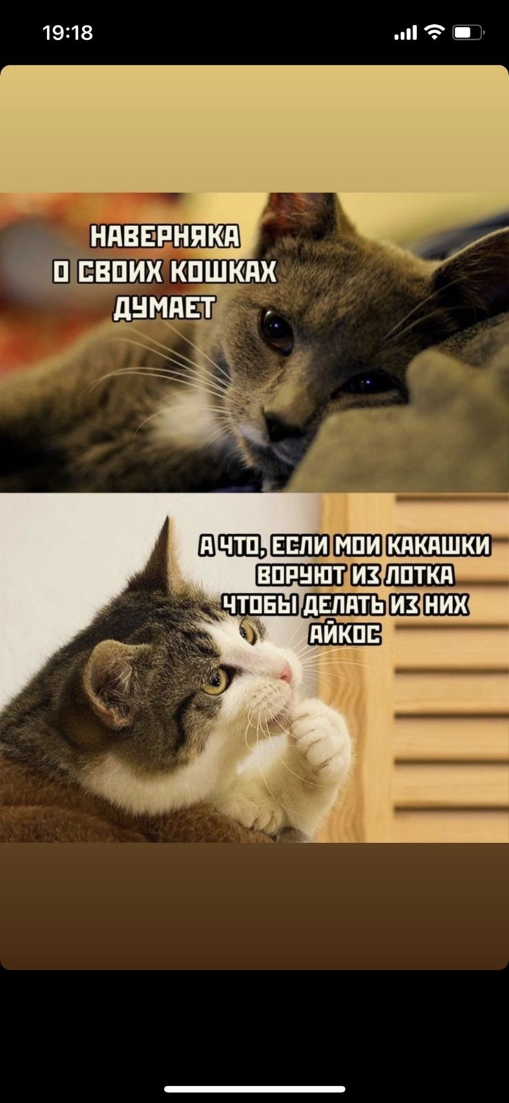 1918 _т