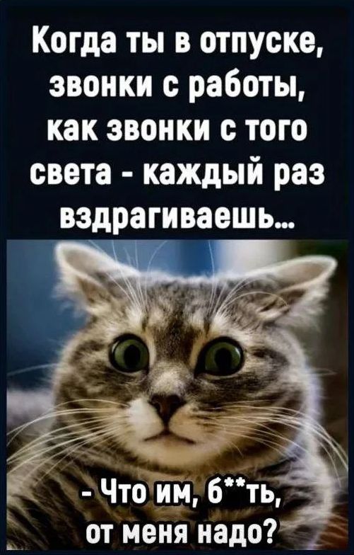 Когда ты в отпуске звонки с работы как звонки с того света каждый раз вэдрагиваешь Что им 6ть от меня надо