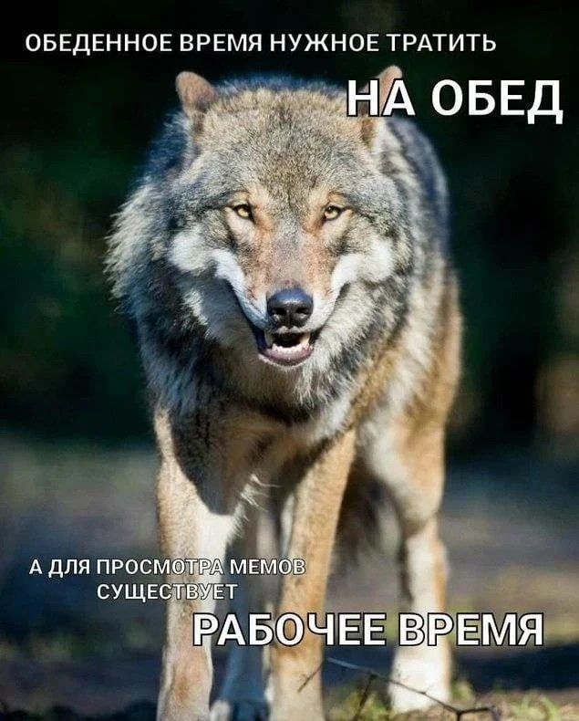 ОБЕДЕННОЕ ВРЕМЯ НУЖНОЕ ТРАТИТЬ