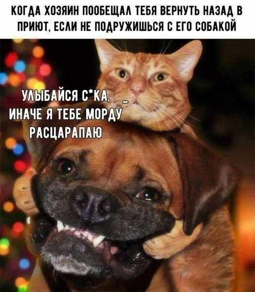 КПГАА ХПЗЯИН ПБОБЕЩМ ТЕБЯ ВЕРНУТЬ НАЗАД ПРИЮТ ЕСЛИ НЕ ППАРУЖИШЬБЯ ЕГП СОБАКПИ инт птвьв удыыися кі мсцтпдю а ы 03