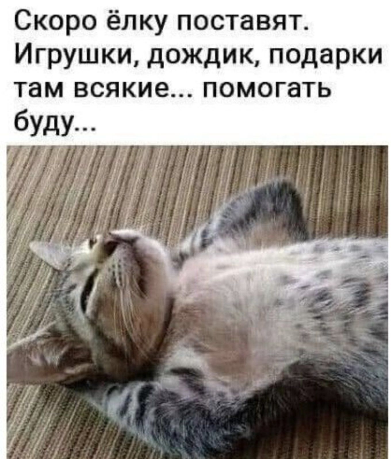 Скоро ёлку поставят Игрушки дождик подарки там всякие помогать
