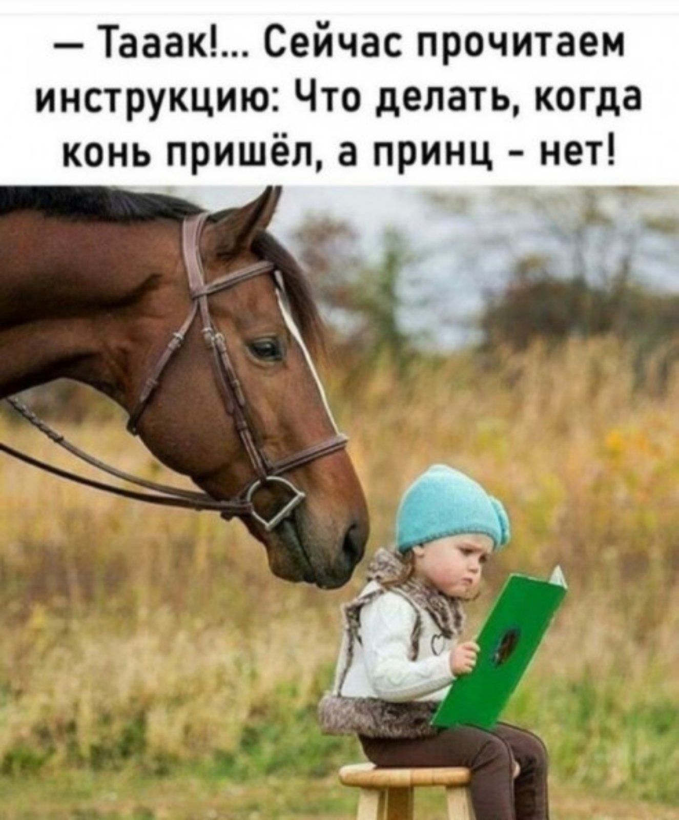 Тааак Сейчас прочитаем инструкцию Что делать когда конь пришёл а принц нет