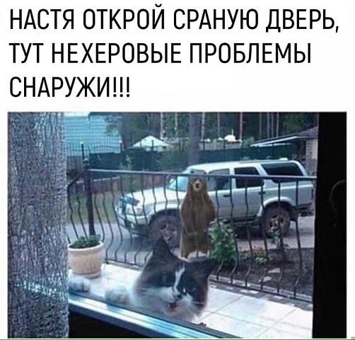 НАСТЯ ОТКРОЙ СРАНУЮ ДВЕРЬ ТУТ НЕХЕРОВЫЕ ПРОБЛЕМЫ СНАРУЖИ